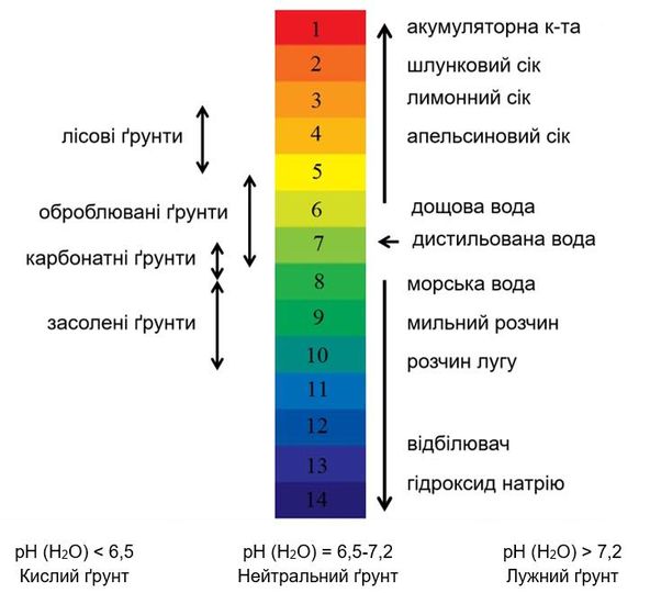 Природные факторы, влияющие на рН