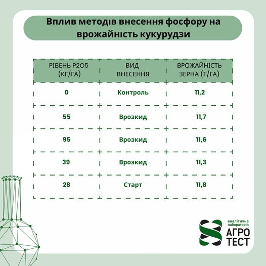 Belt fertilizer application versus spreading